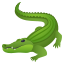 crocodile